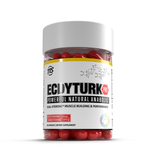 EcdyTurk PRO